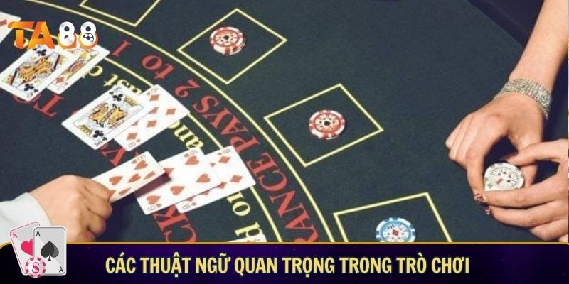 Xì dách đại phú quý – Trải nghiệm game bài mới lạ tại TA88 Các thuật ngữ quan trọng trong game bài xì dách